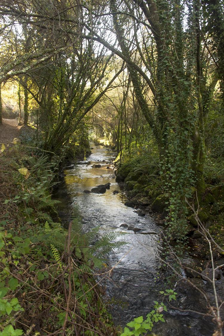 Río Sar o seu paso polo Restollal